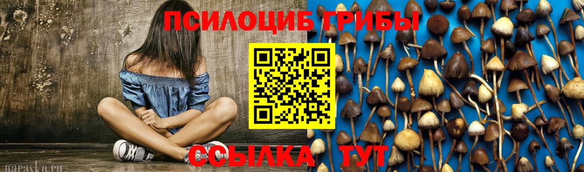 Курчалой  Псилоцибиновые грибы ЛСД  Вход с VPN  Псилоцибиновые грибы GOLDEN TEACHER 